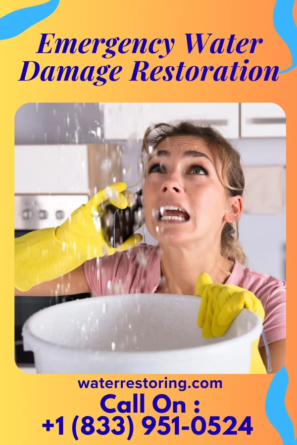Emergency Water Damage Restoration in Massieville, OH