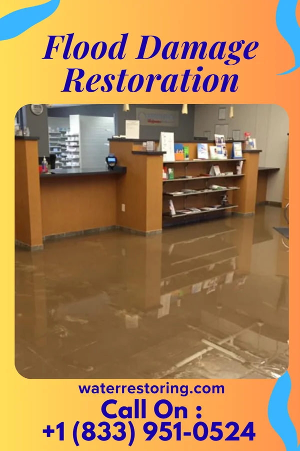 Flood Damage Restoration in Massieville, OH