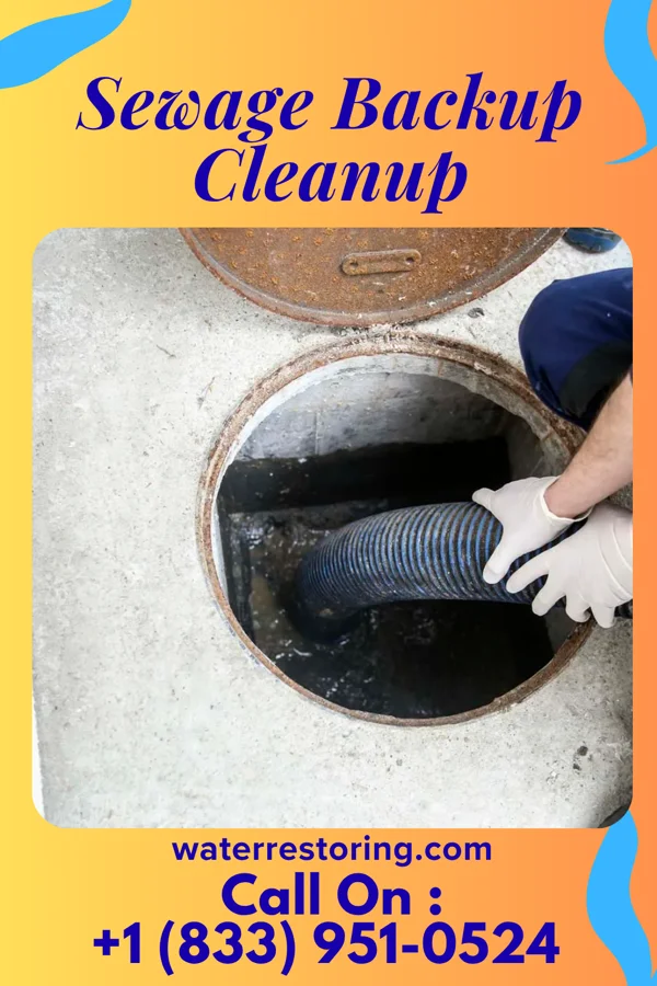 Sewage Backup Cleanup in Massieville, OH