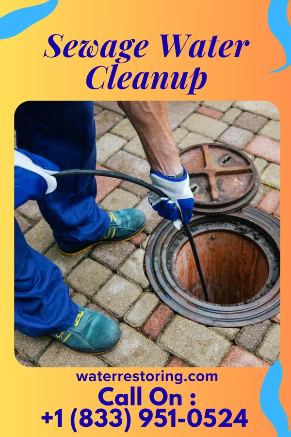 Sewage Water Cleanup in Massieville, OH