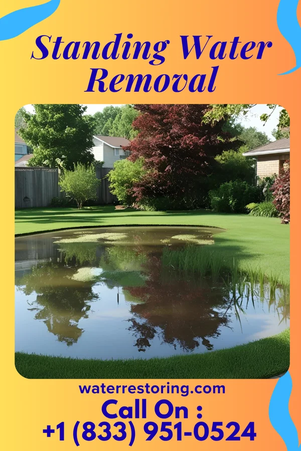 Standing Water Removal in Massieville, OH
